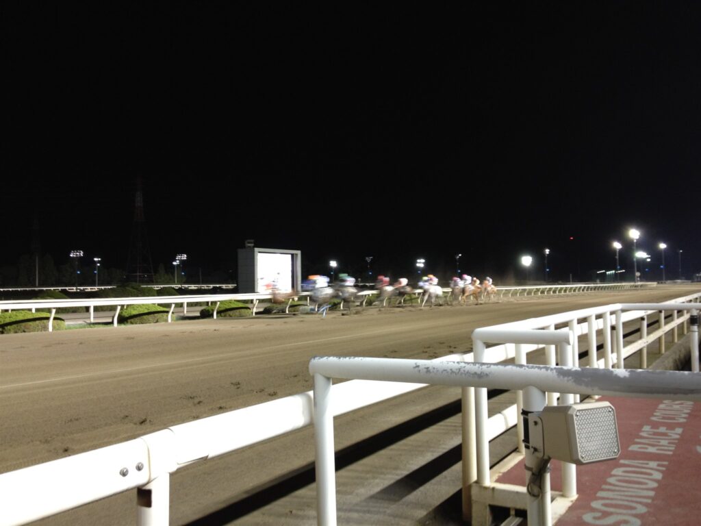 2012年9月、園田競馬場のナイターレースを走る馬群