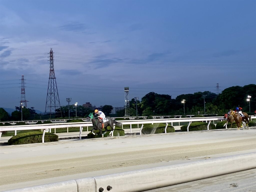 夕暮れの園田競馬場、照明の灯ったダートコースを走る馬