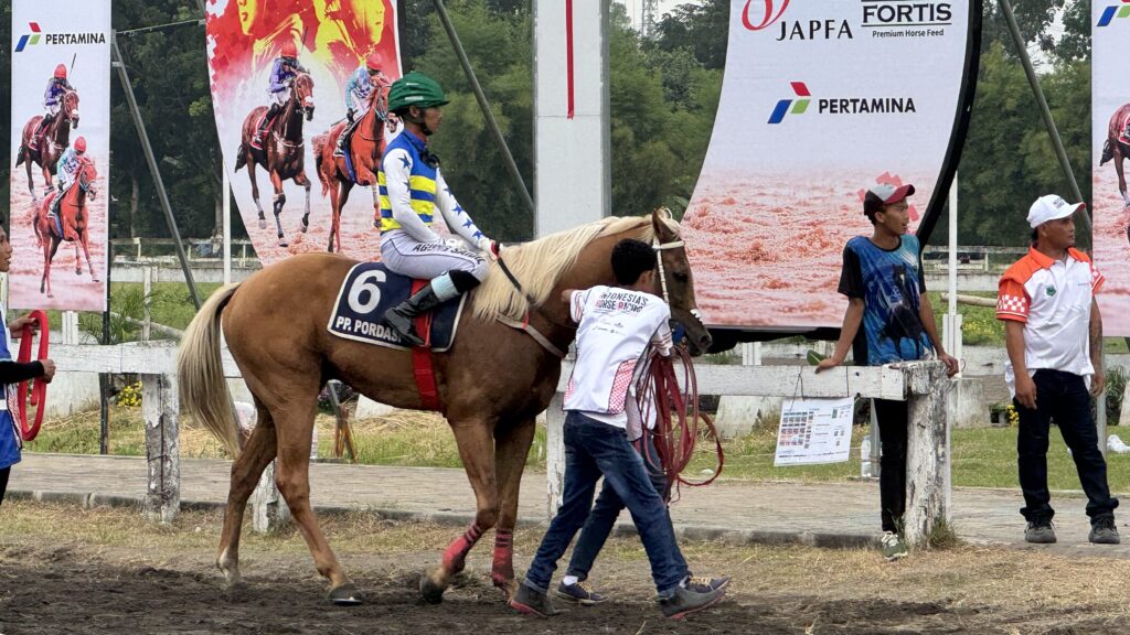 尾花栗毛の6番の馬