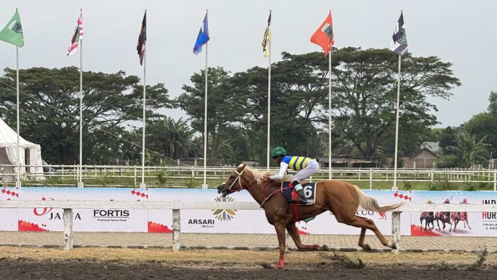 尾花栗毛の馬の返し馬