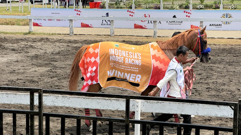 「WINNER」の馬着をかけられた勝ち馬