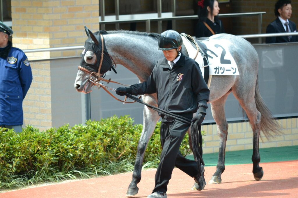2012年高松宮記念当日、中京競馬場のパドックを周回する芦毛の馬