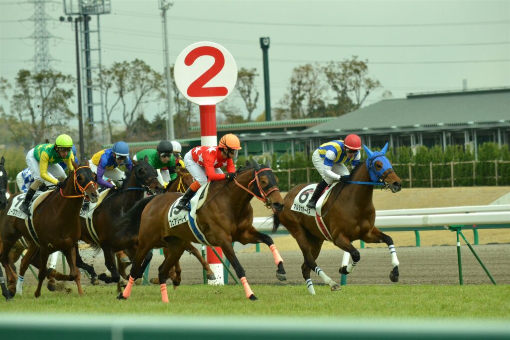 2012年3月、中京競馬場の2ハロン標識前を駆ける馬群