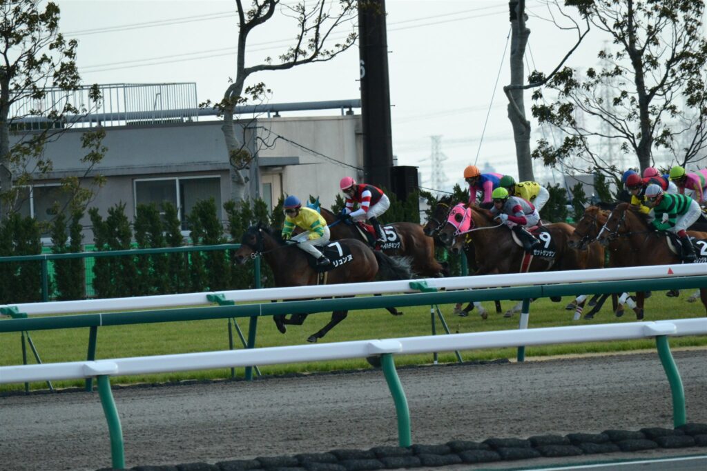 2012年高松宮記念当日、中京競馬場の直線を駆ける馬群