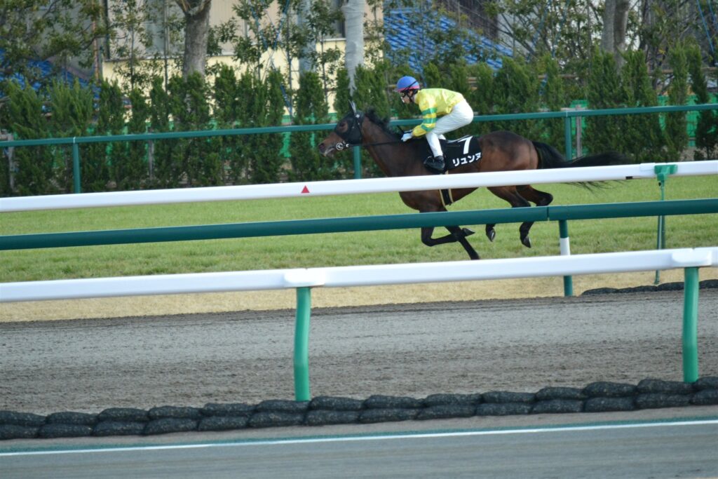 2012年高松宮記念当日、中京競馬場のゴール前で抜け出す馬
