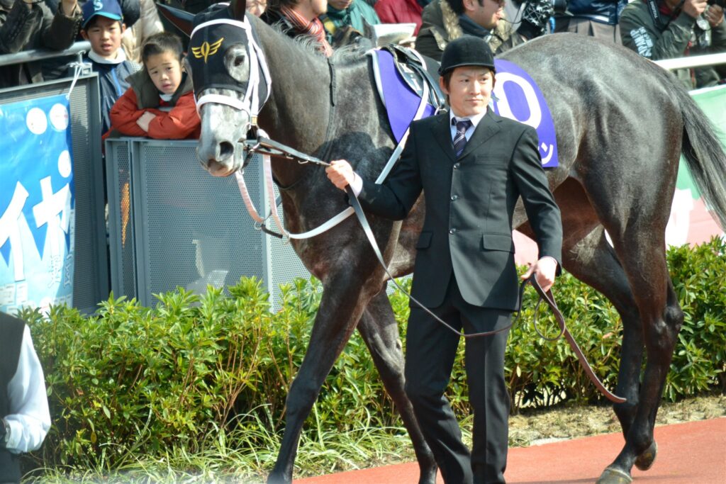 2012年高松宮記念のパドックを周回する出走馬