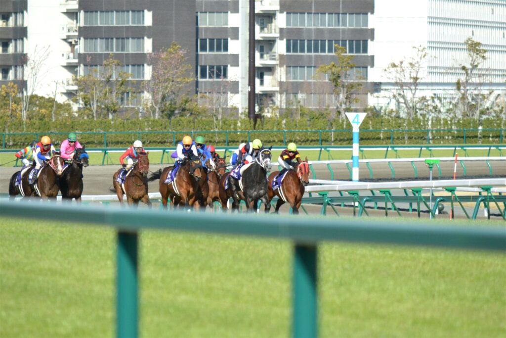2012年高松宮記念、向正面から直線へ向かう馬群