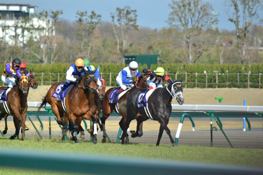 2012年高松宮記念、直線で横一線の叩き合い