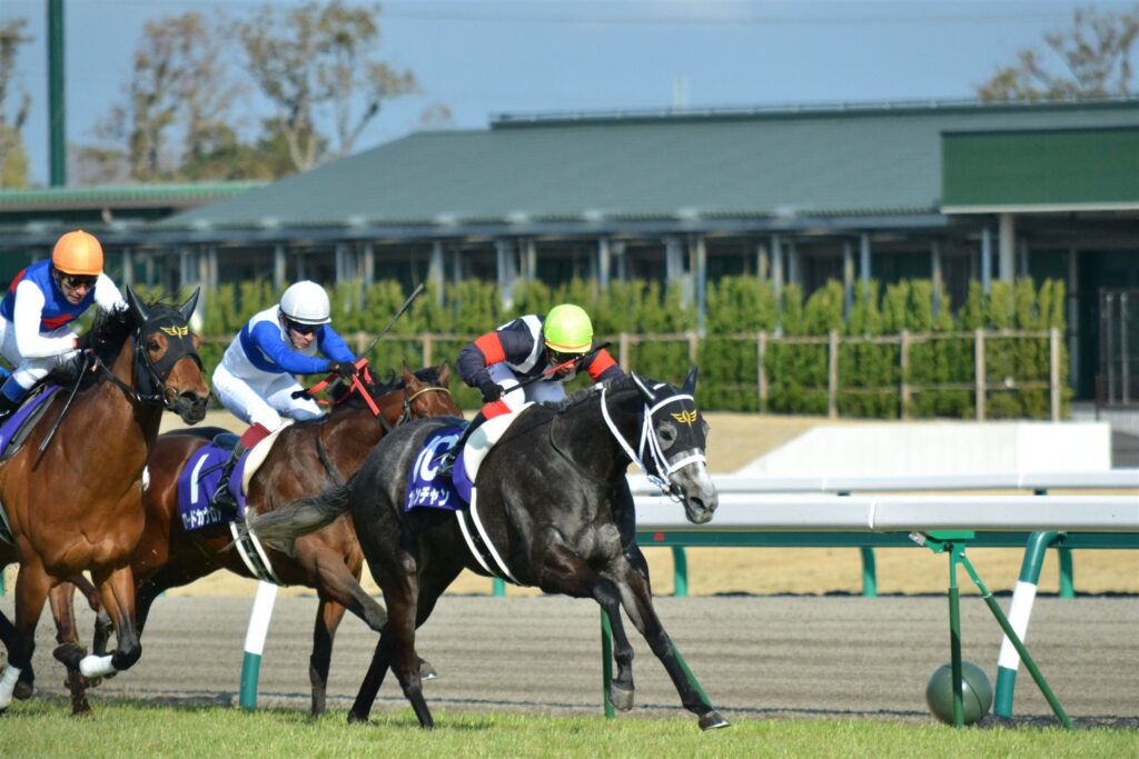 2012年高松宮記念、ゴール前で先頭に立つカレンチャン