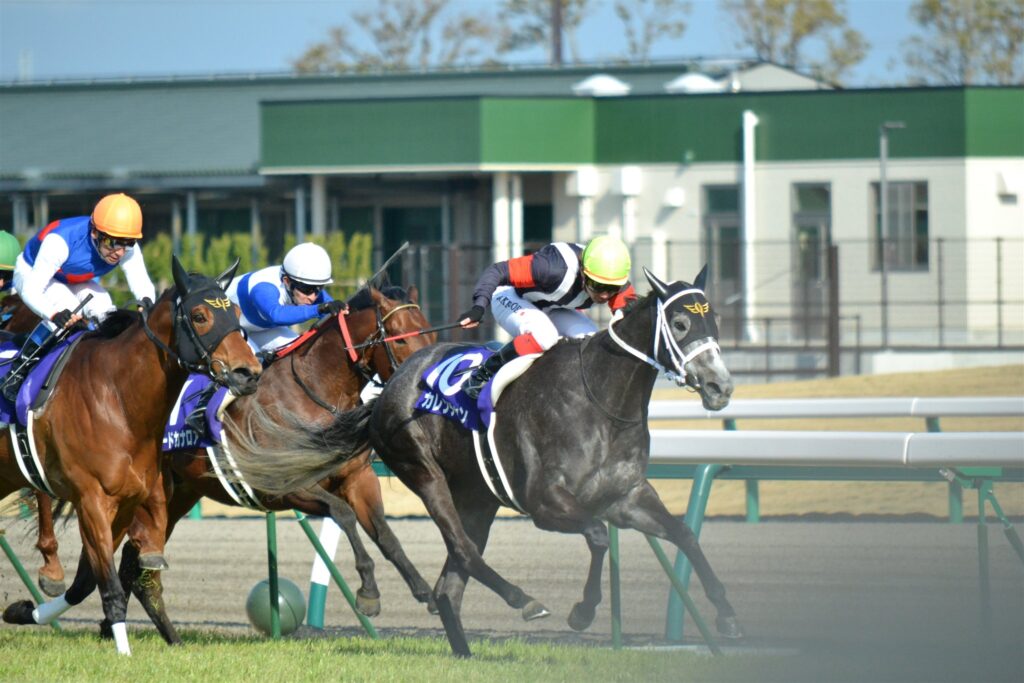 2012年高松宮記念、ゴールするカレンチャンと追い込む馬群
