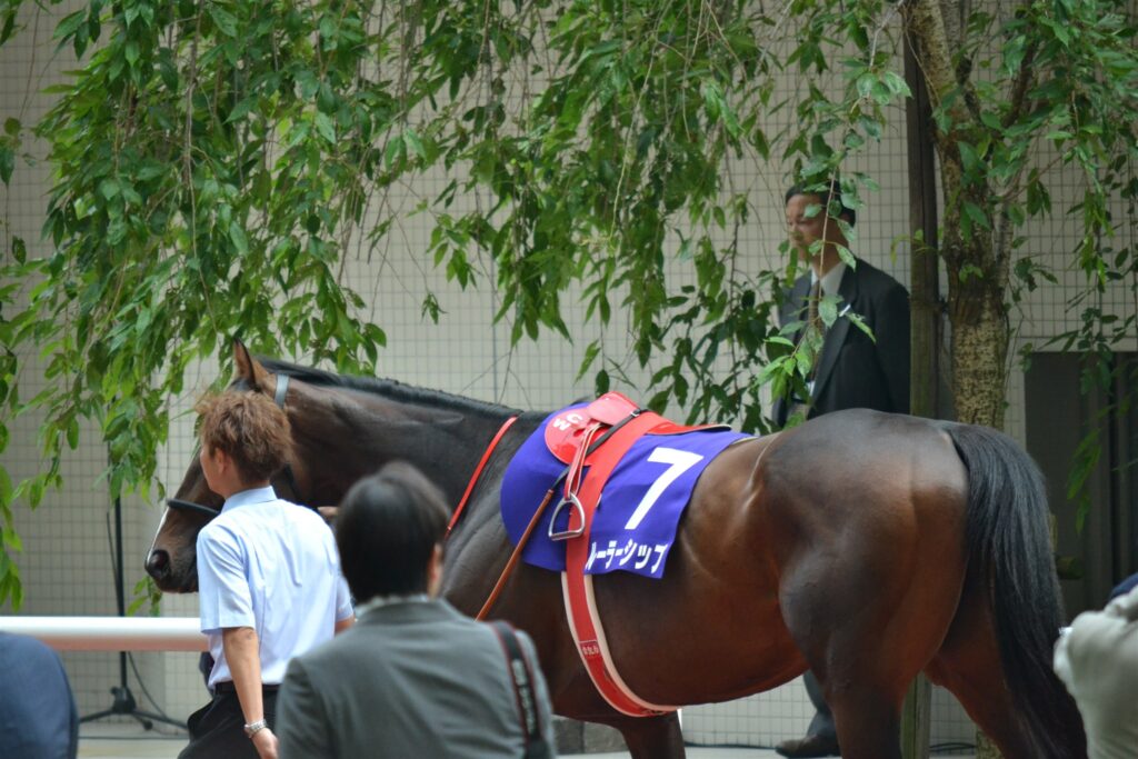 2012年宝塚記念のパドックを周回する7番ルーラーシップ