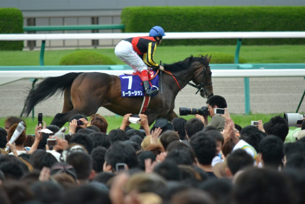 2012年宝塚記念、返し馬でスタンド前を駆けるルーラーシップ